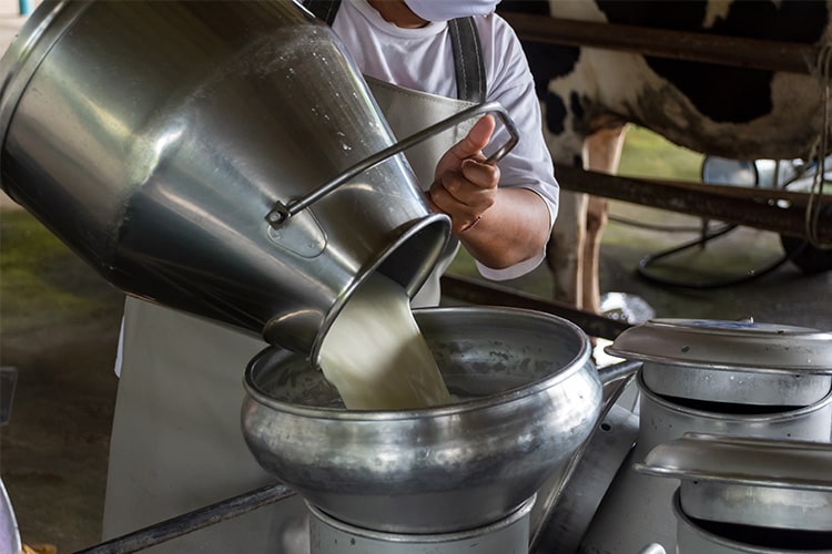 milk_procurement_bharatmilk