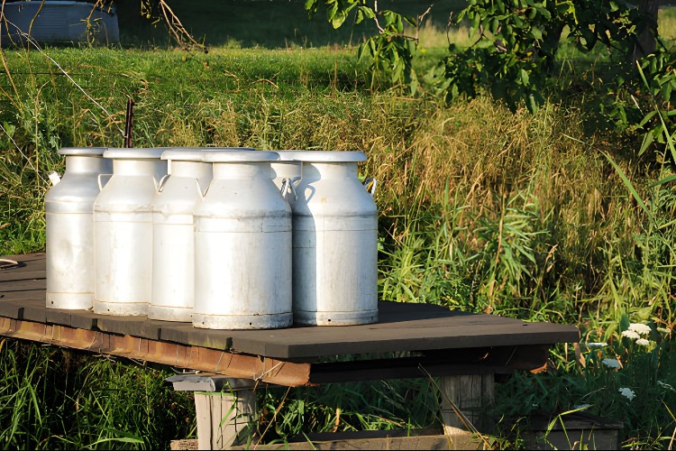 fresh_milk_from_bhartmilk_distributed_with_care fresh_milk_from_bhartmilk